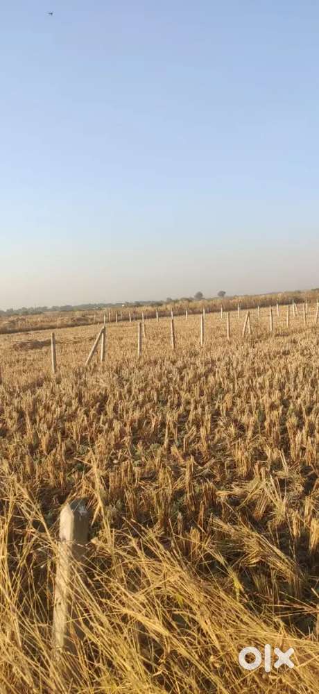 New mumbai international airport
