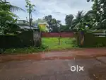 Residential Plot for Sale in Kakkanad, Kangarappady