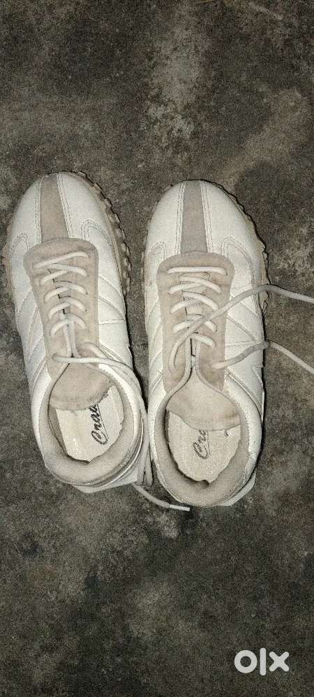 Shoe in original name in crawls