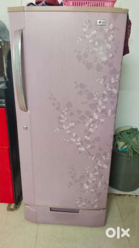 lg refrigerator single door