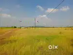 **Invest in the Future: Premium N.A. Plots for Sale!**