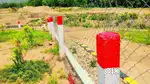 Land + 4 cr Income + Gifts | Best Farm Investment Near Araku