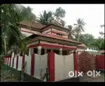 House for Rent near Vallikavu