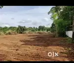 Housing plots