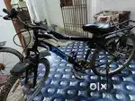Gang Cycle