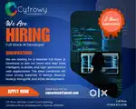 Full Stack AI Developer