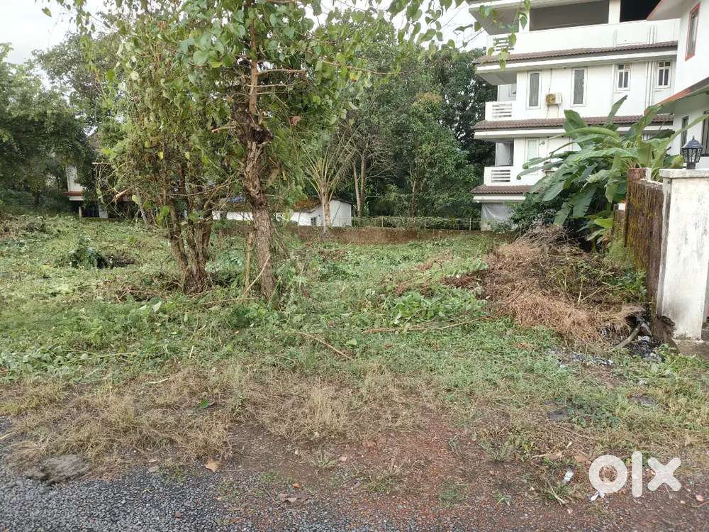 Orchard plot Shiroda ponda