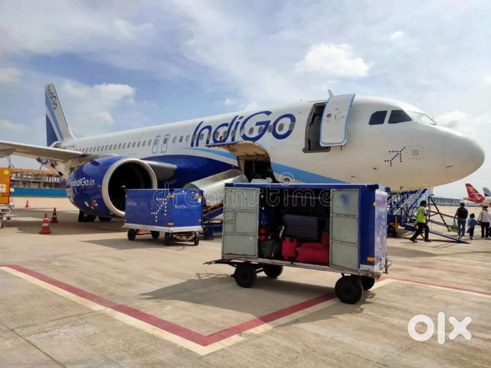 FULL TIME JOB IN INDIGO AIRLINES NEAR BY AIRPORT JOBS FRESHER ARE WELC