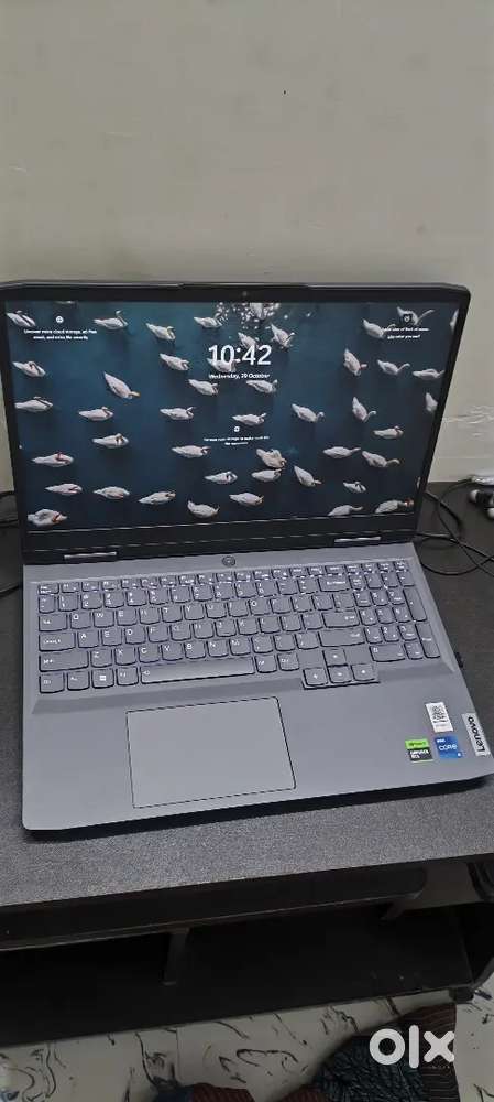 Lenovo laptop professional