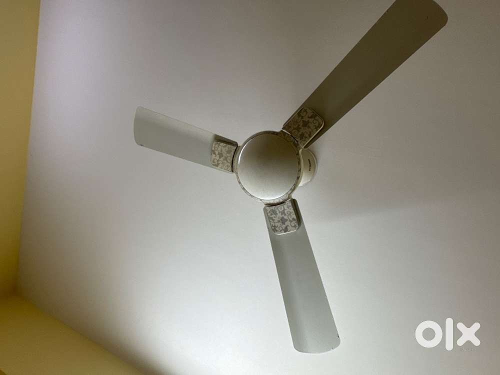 Ceiling Fans