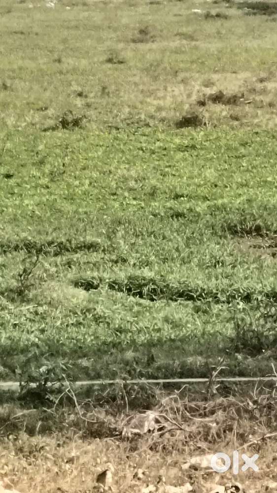 119mtr plot Bhudi vihar prime location