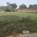 Plot sell for dream house