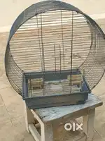 Birds Cage