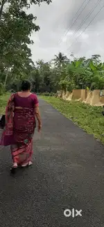 Road front 7.5 cent plot for sale at Ambaloor