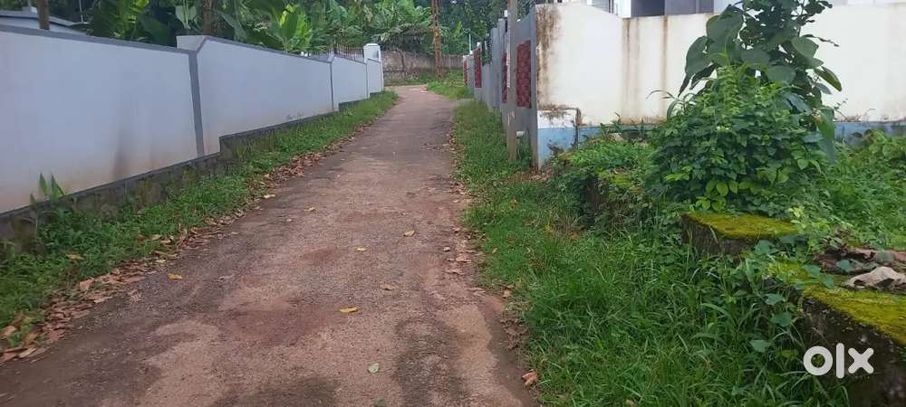 5, 6 land for sale moitheen mukku near kureeppally