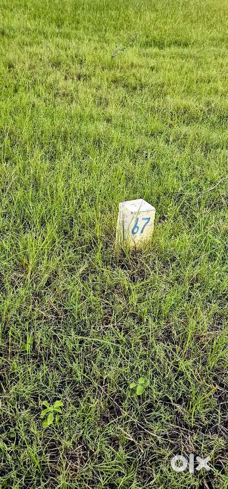 Plot For Sale 121 Square Yards