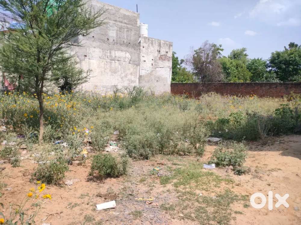 Plot near SGT university AIIMS Hospital Gurgaon 11500prgaj Negotiable