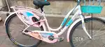 By the new bike