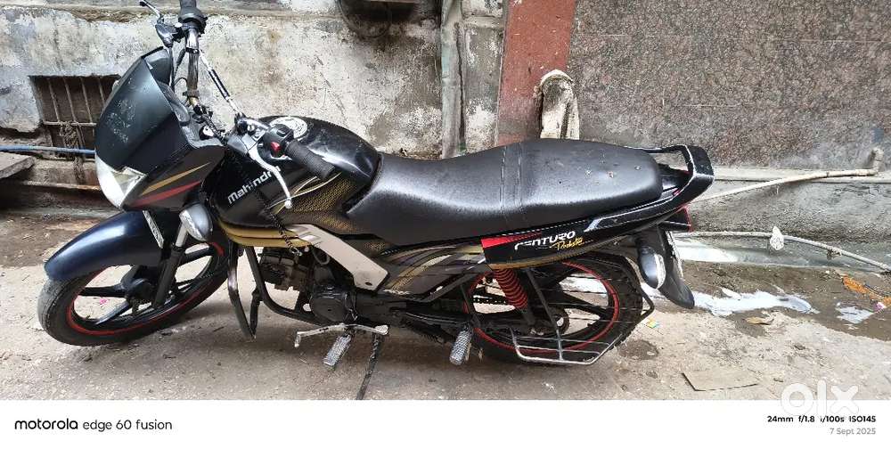 Good candisan self start