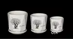 Ceramic Pots & Vermi Compost