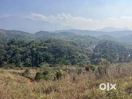 3.2 ACRE RESORT/VILLA LAND FOR SALE