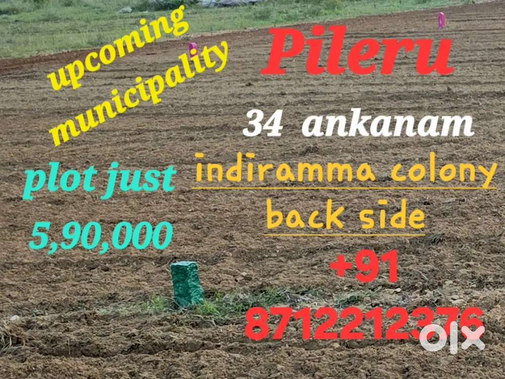 Cheap and best plot