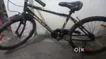 Mast cycle hai