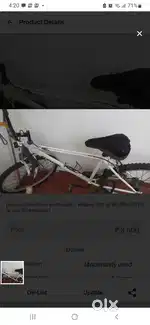Adult Bicycle