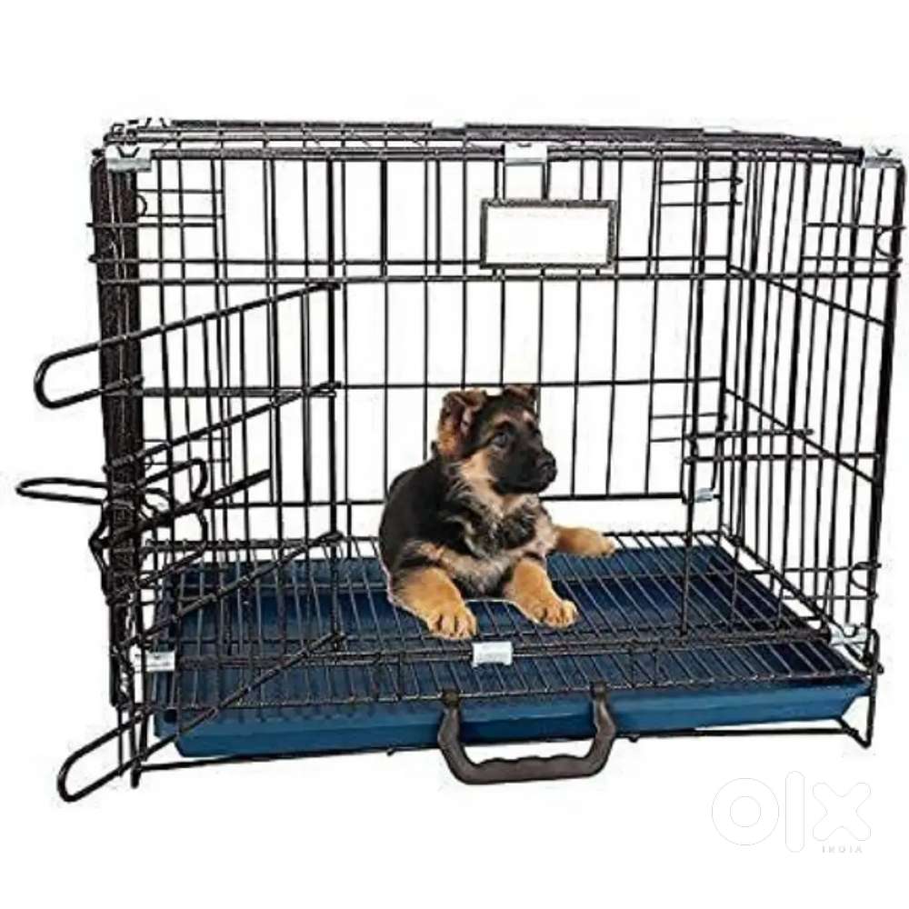 Dog and Cat Cage