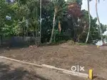 3 cent+ 1.75 free land Kochi Corporation