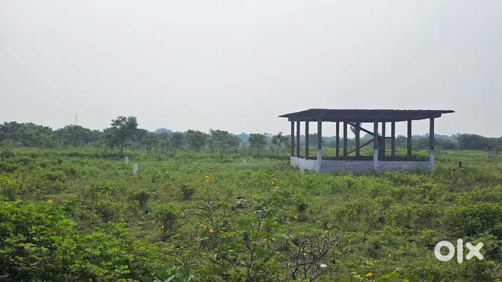 Plot for sale