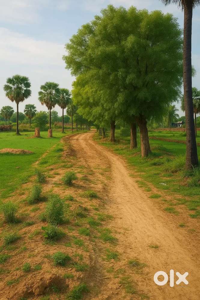 Roshan Valley Phaseone की सफलता के बाद अब लेकर आए हैं
Phase Two Plots