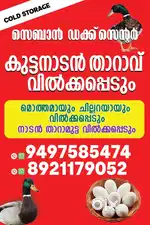 Required staff for counter.