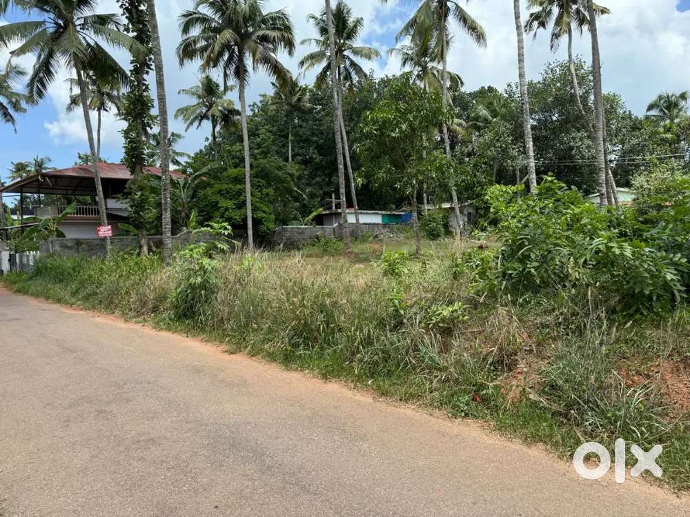 Land for sale