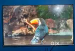 50 Toshiba 4K Ultra HD Google TV for Sale.