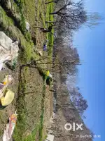 Horticulture Land 2.75 kannals on sale Direct Owner