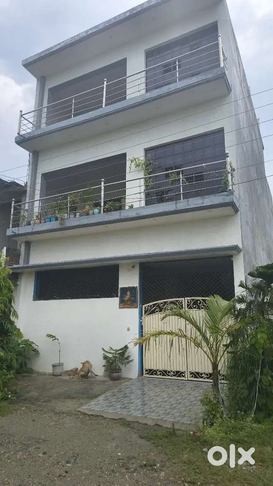 Palm green house for sale