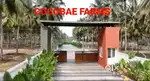 25 , 50 cents  Coconut Grove Farm plots for Sale