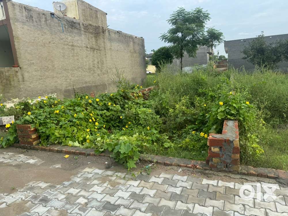 300gazz plot for sale