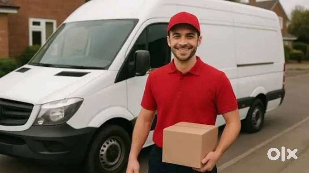 Bargin bazar van delivery job