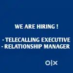 TELECALLING EXECUTIVE