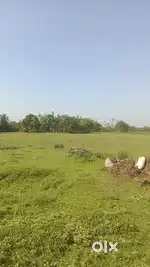 Own a piece of land near south Kolkata Amtala and Build your Farmhouse