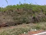 Patamda katin CNT free plots urgent sale