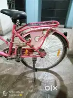 Ladybird Cycle