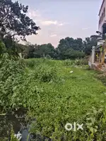 Residential plot