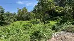 54 Cents Teak Plantation Plot for Sale In  – Ottapalam, Kayiliad