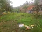 Jaka ban die