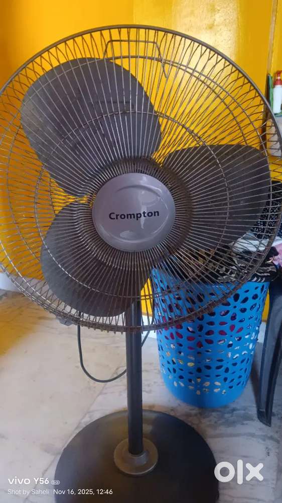 Crompton stand fan