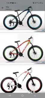 Fat tyre cycle