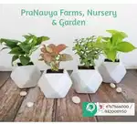 job in Nursery, Farm साईड पे रहके पेड पौधे बेचने का काम है.